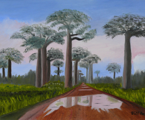 Madagaszkár 1.